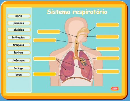 Jogo 1 - Site Junior